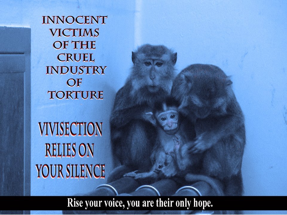 421201_299147943476367_170564559668040_831993_290548519_n