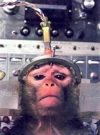 Please help me Please Help Me, I Can't Take This ANYMORE HELP ME PLEASE