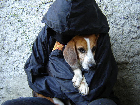 Greenhill Liberation Italy