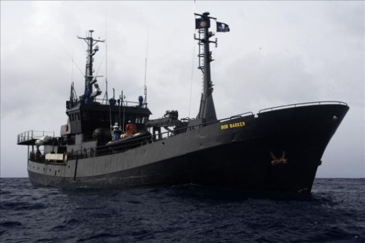 Sea Shepard_Bob Barker Sea Shepard_Bob Barker