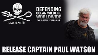 Return Paul Watson to the High Seas
