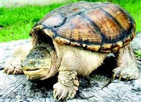 I WANT THIS EVENT BANNED - THEY HURT ME - PLEASE HELP ME I WANT THIS EVENT BANNED - THEY HURT ME - PLEASE HELP ME