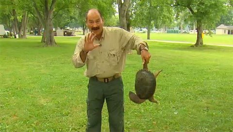 Mr Richard Jaff Mr Richard Jaff