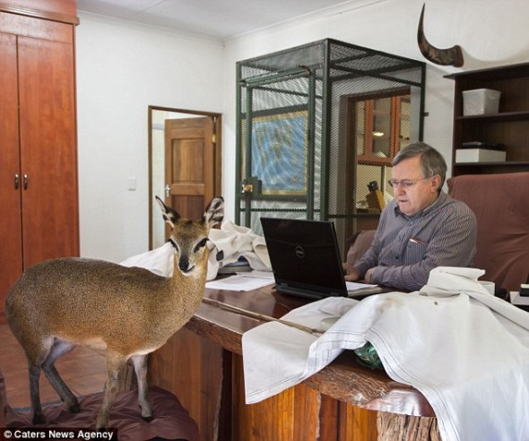 John Hume - in it for GREED