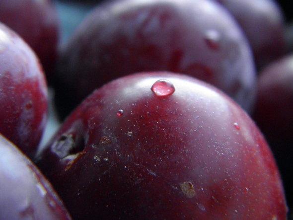 Plums