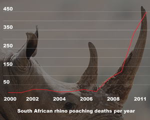 rhino_graph JUST for 2011 the rates have shot up