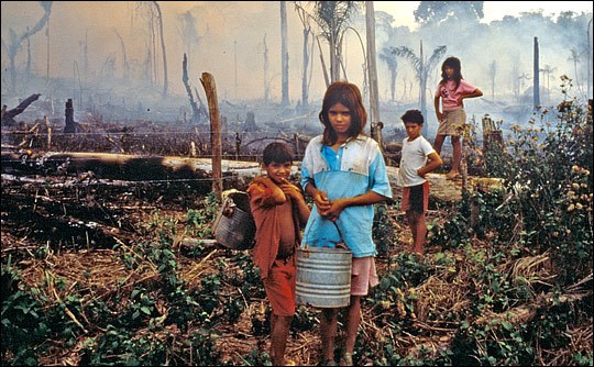 slash_and_burn_children PALM OIL IS KILLING OUR PLANET AND ANIMALS