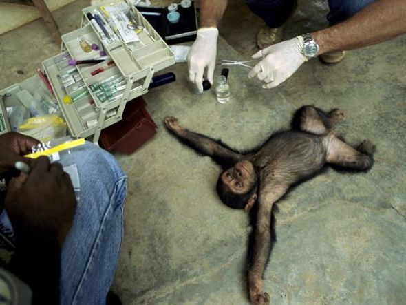 aids-research_802_600x450