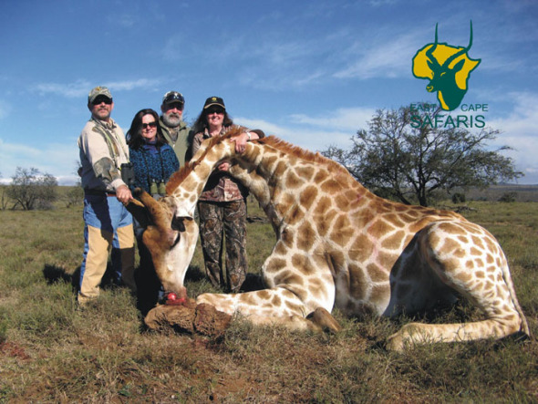 Is this how we are going to educate our children?