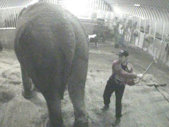 circus-abuse-1