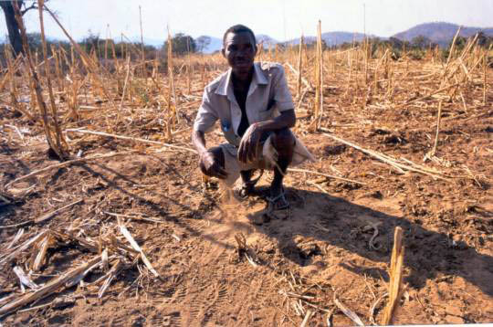 farm&climate&poor&africa&HIV
