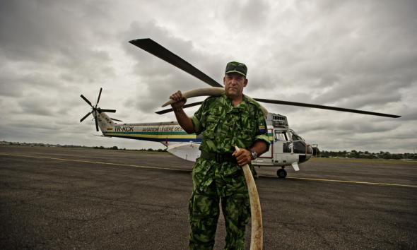 Confiscated ivory, Gabon