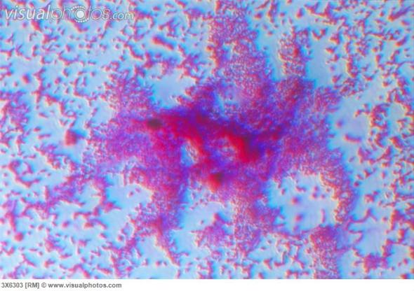 ????????????????????????????????????????????????????????????????????????????????????????????????????????????????????????????????????????????????????????????????????????????????????????????????????????????????????????????