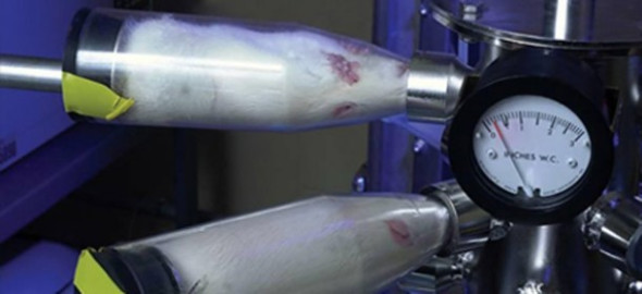 rats-inhalation-tubes-ads-610x279