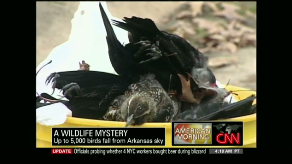 exp.am.intv.stephens.cnn.640x360