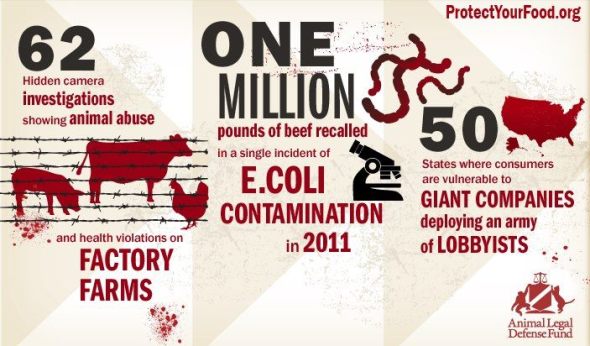 311028_485314601539758_1996998763_n