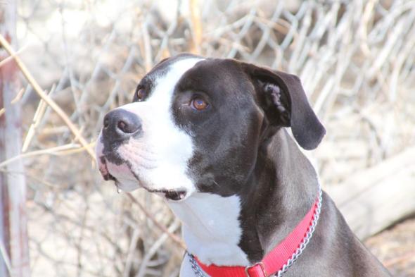 please sign the petition or I am Chloe, brutalised and murdered for being a good girl how my parents taught me