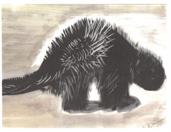 Travels with Lili, Copyright Protected by Carl Delvic