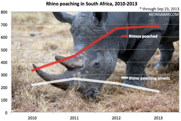 0929-RHINO-POACHING-CHART-SOUTH-AFRICA