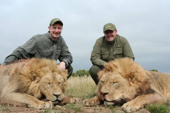lion-hunt