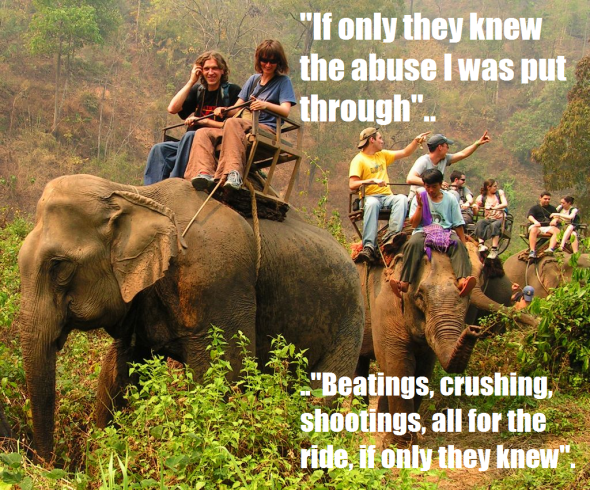 Did you enjoy the ride? Did you know your money has contributed to more abuse?