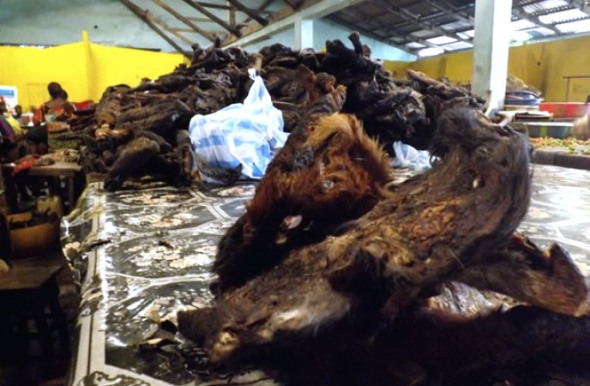 700x450-crop-90-images_djmediatools_1.jpg.33 2