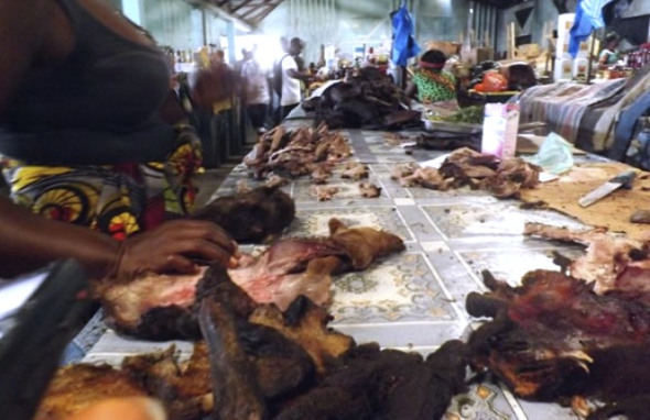 700x450-crop-90-images_djmediatools_4.jpg.33 2