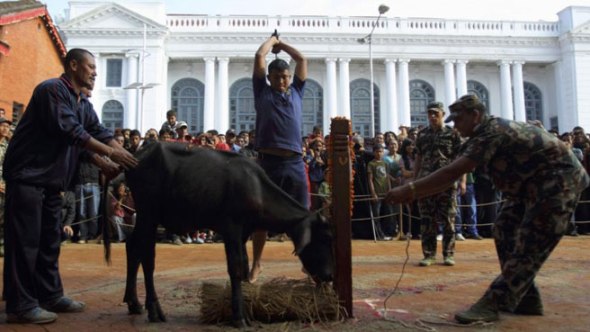 86BDF58872D32E34FC454BC5FBEE1