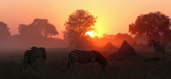 african sunrise (1)