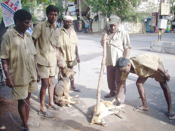 Kings-were-kind,-bold-and-decent.