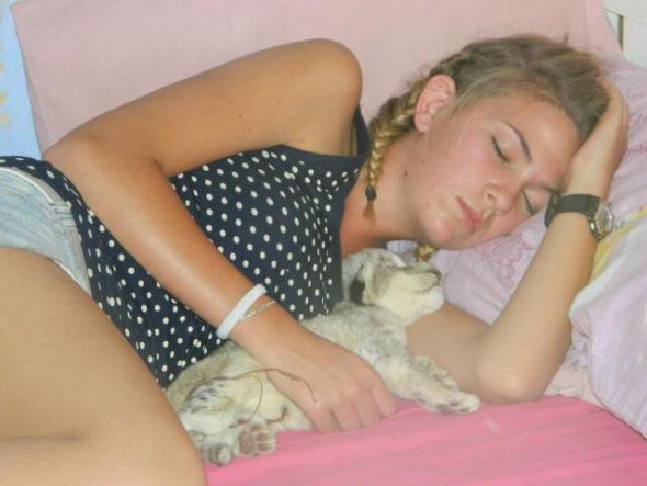 Again in this picture one of many where is the mother that SHOULD be rearing her young? The mother if around would be going frantic and on this Facebook page there is only one picture of a mother with her cubs and even that Lioness does not look happy with them cubs not6