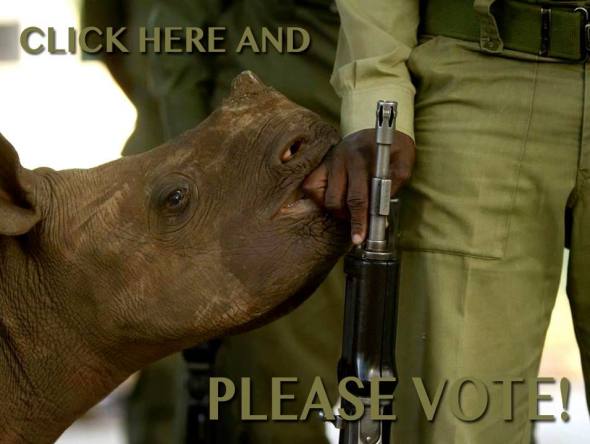 CLICK HERE TODAY AND VOTE FOR THIS PHOTO TO INCLUDED IN THE NUMBER 1 WILDLIFE PHOTOGRAPHER OF THE YEAR AWARD www.Speakupforthevoiceless.wordpress.com
