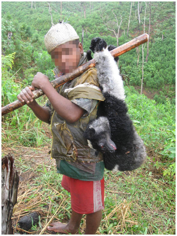 journal.pone.0027570.g006