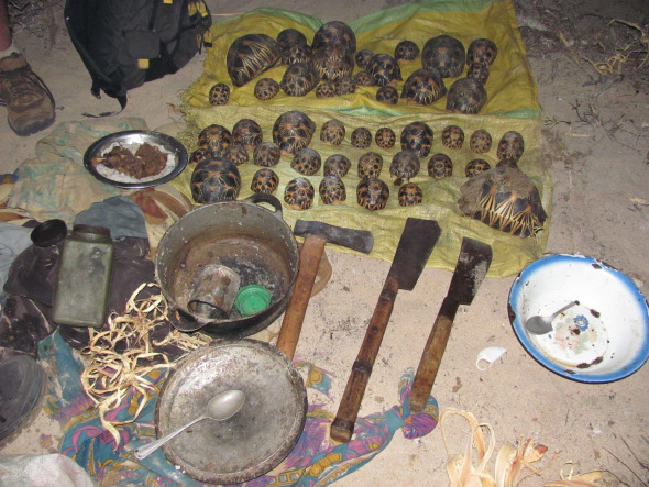 poachers_camp_lavavolo