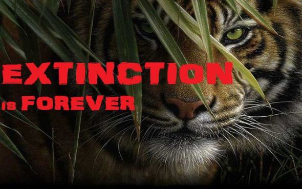 extinction-is-forever