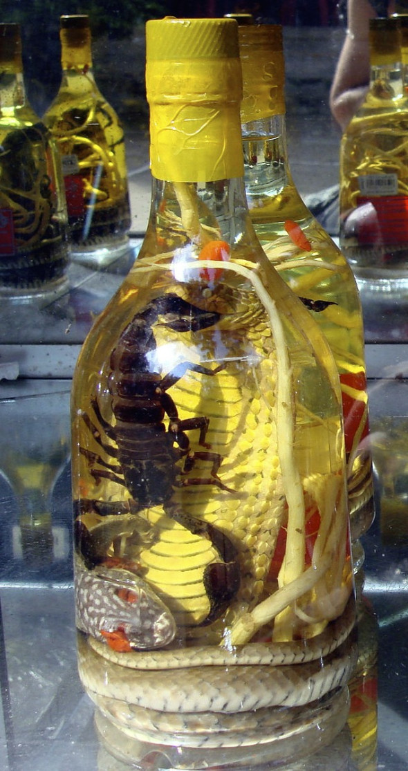 Snake wine.