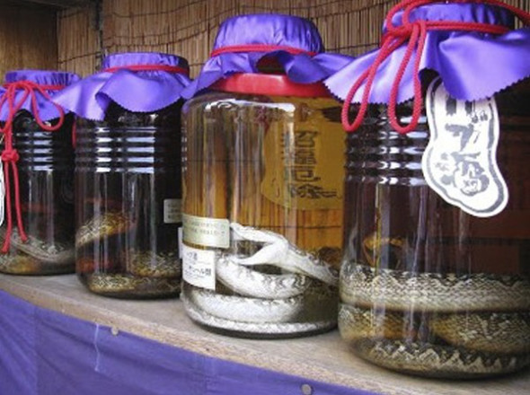 Japanese Snake Wine - Habushu.