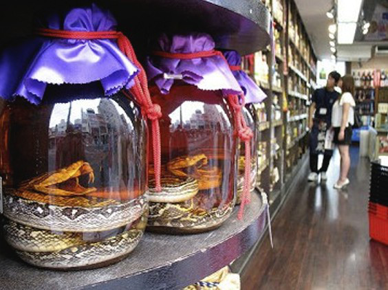 Japanese Snake Wine - Habushu.