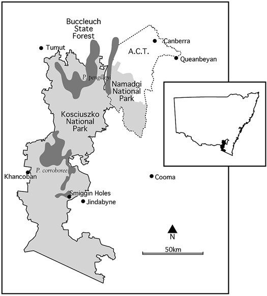 Location map for Corroboree Frogs.