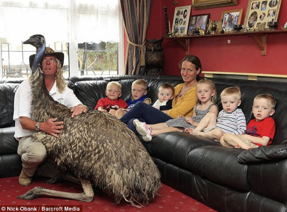 Hand reared Emu "Beaky."