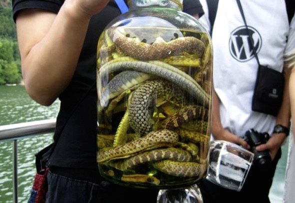 Happy travellers with their purchase of snake wine.