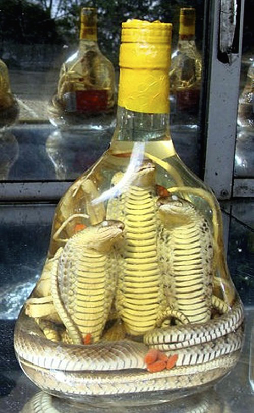 Snake wine.