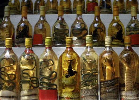 Snake wine.