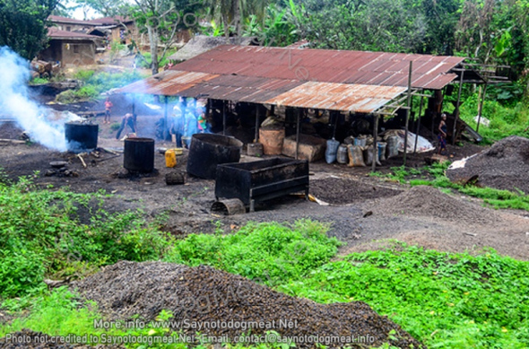 Calabar palm oil site.