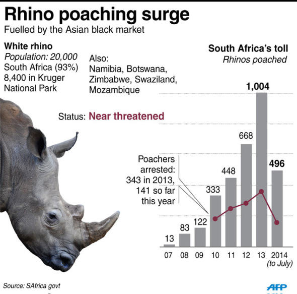 140813Rhinoinfographic-jpg