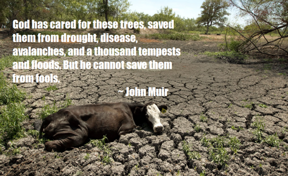 californiadrought