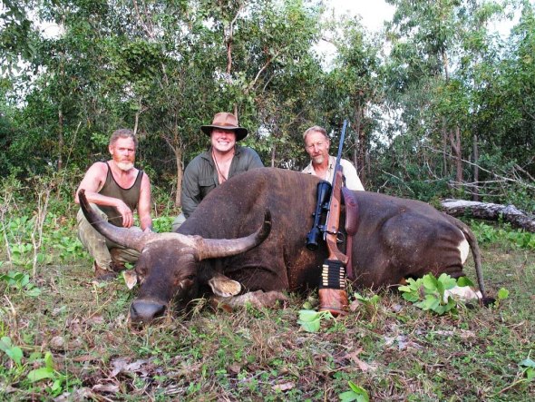 Banteng-Hunting - Click to view more.