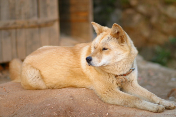 boknal3