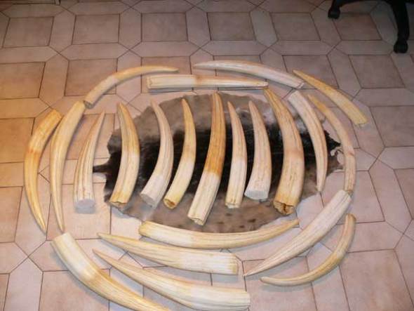 post-594-13089312299951