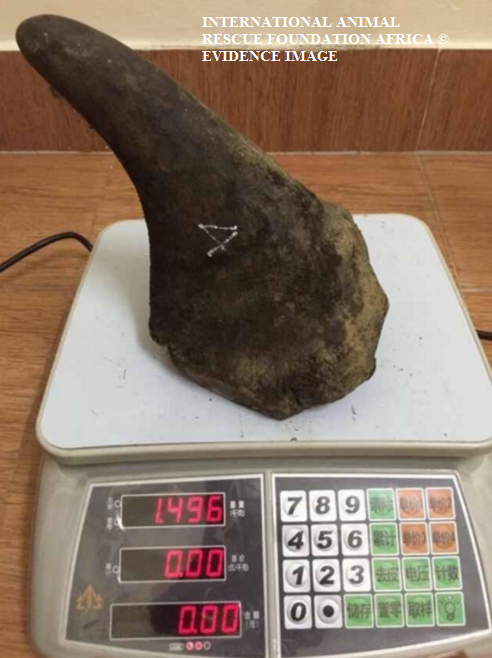 Illegal wildlife traders: Viet Nam & Thailand.